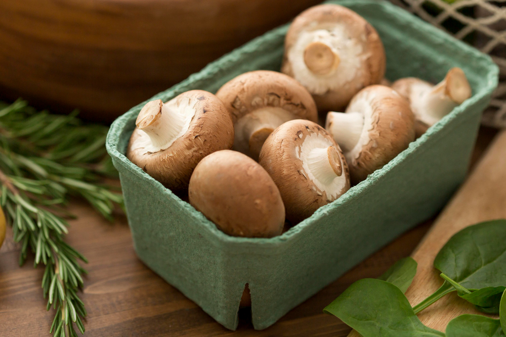 przechowywanie grzybów w lodówce